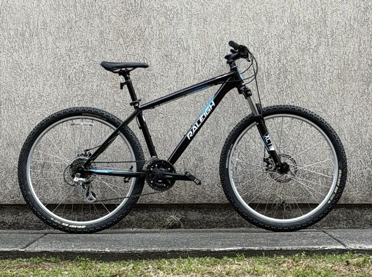 Raleigh Talus 3 (17")