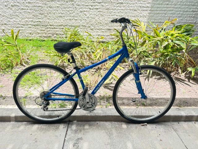 Raleigh Route 4.0 (15.5")