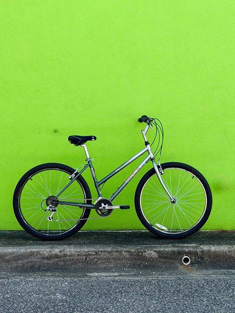 Trek Mountain Track 820 (17")