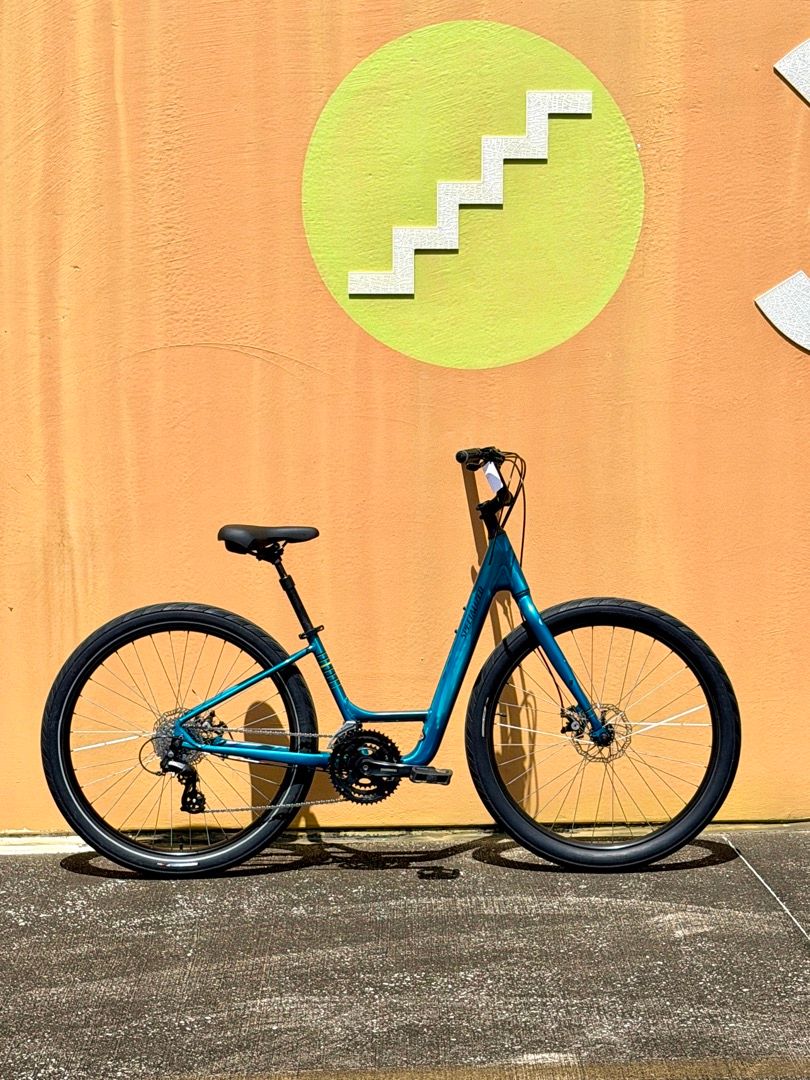 Specialized Roll 3.0 (15")