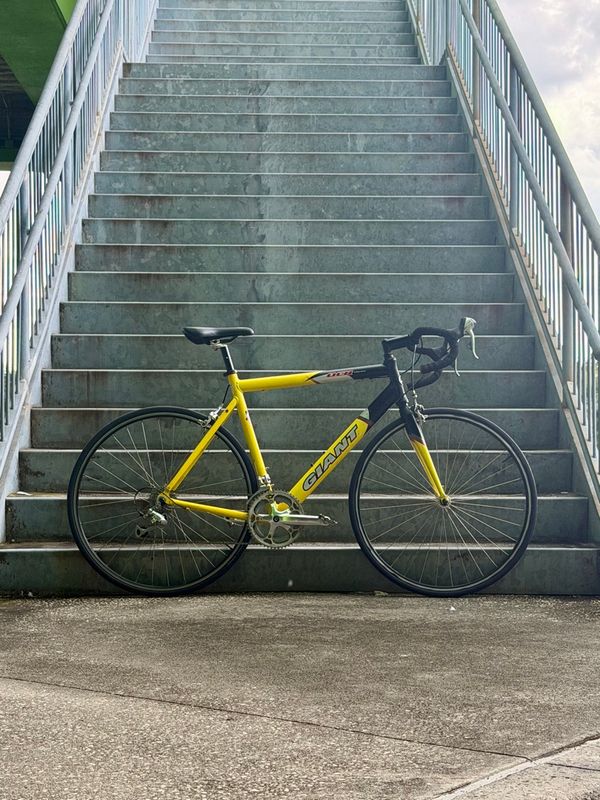 Giant OCR Three (55cm)