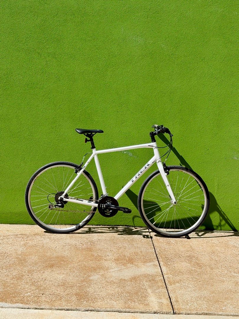 Trek FX3 (22.5")