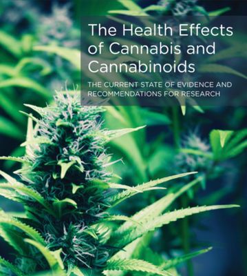 Learn Your Cannabinoids
