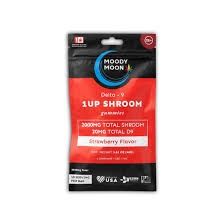 1 UP SHROOM GUMMIES 10 CT