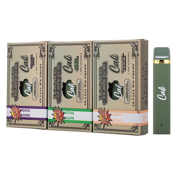 CALI LOOSE CHANGE 1G DISPOSABLE