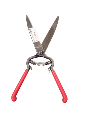 Corona ClassicCUT 2.25 in. Forged Steel Blade with Vinyl Coated Handles Professional Sod Cutter and Grass Shear GS 6750CCH