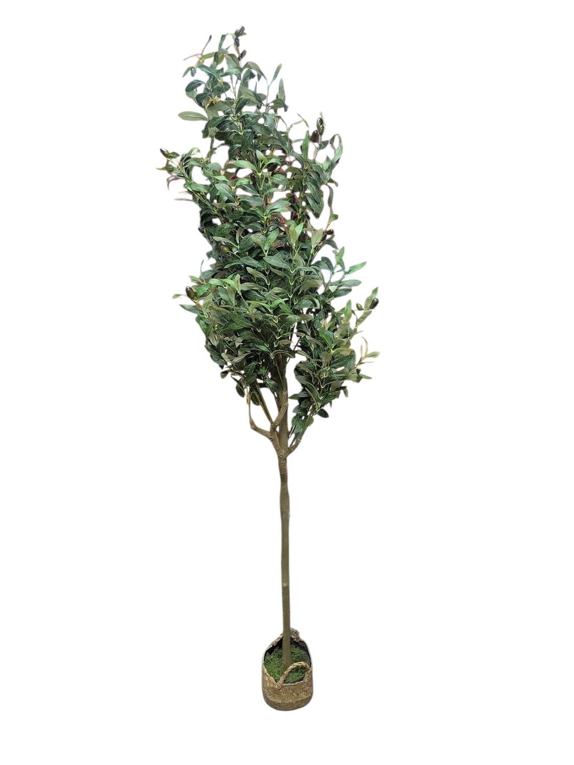 Olive Tree, 5FT Tall Faux Olive Tree with Moss and Planter, Olive Trees Artificial Indoor with Realistic Wood Trunk and Lifelike Fruits, Fake Olive Tree for Home Office Living Room Decor