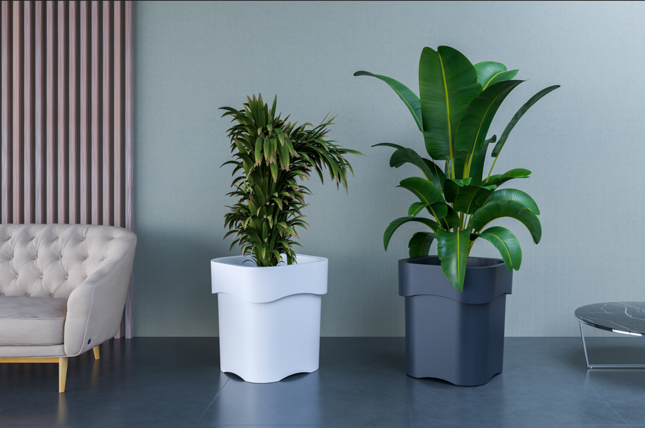 FLORA