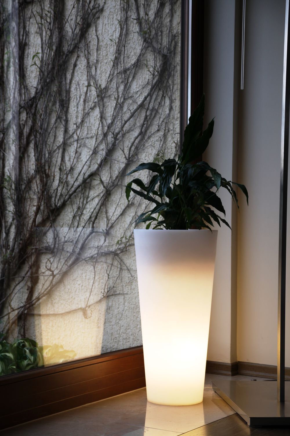 VENUS 70 LED