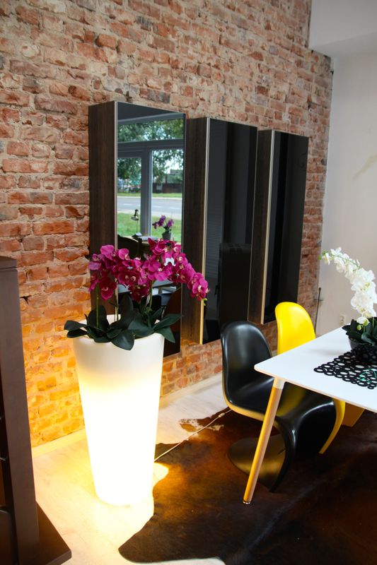VENUS 91 LED