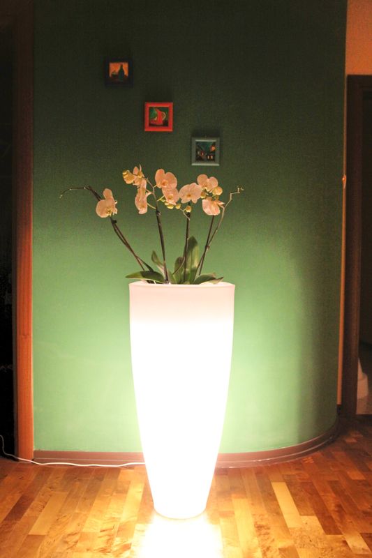 KALYPSO LED