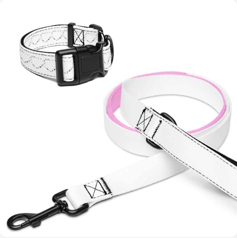 Collar &#39;n&#39; Leash Buddies!
