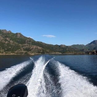 Janne`s Cabin - Fisketur m/båt