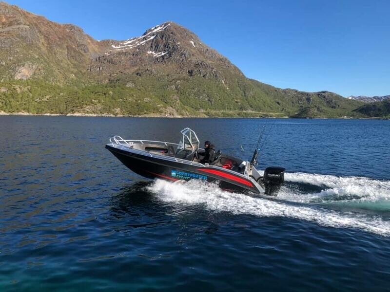 Lofotporten event - Trollfjordsafari