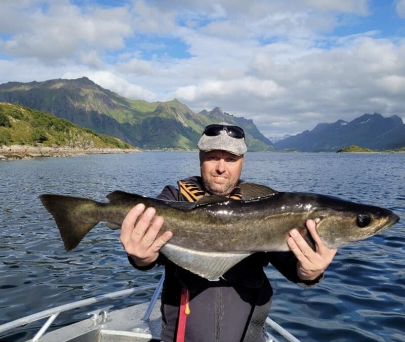Lofotporten event - Trollfjordsafari