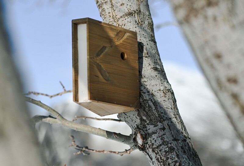 Marmelkroken Bird Walk