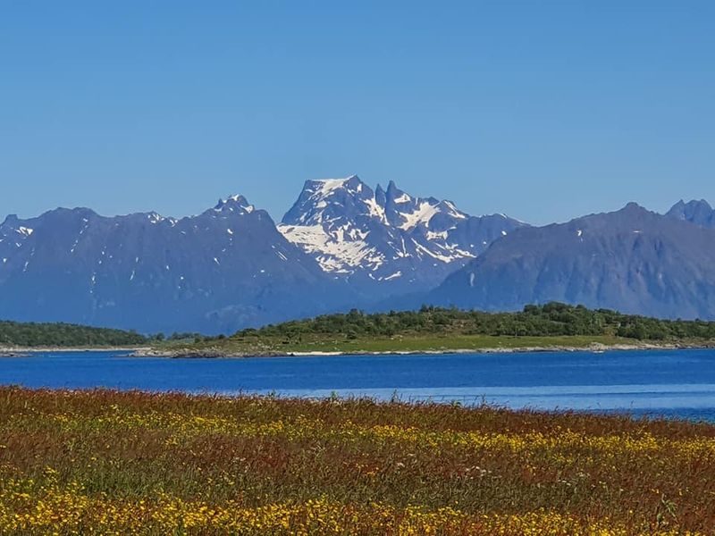 Sortland Harbor – Hurtigrutemuseet and Hadseløya Round Trip 🚢