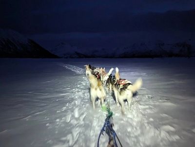 Hundekjøring &amp; RIB-eventyr