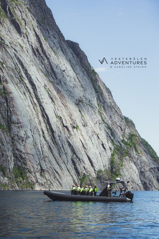 Sea Eagle Safari to Trollfjord with Vesterålen Adventures