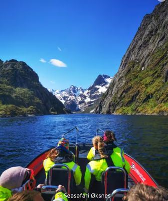 Opplev Trollfjorden med Seasafari Øksnes