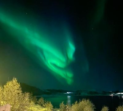 Eidsfjord Night Tour – Experience Northern Norway at its Most Beautiful 🌌📸