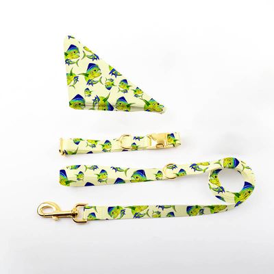 Printed Dog Bandana+Leash+Collar Bundle