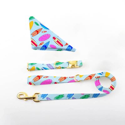 Printed Dog Bandana+Leash+Collar Bundle