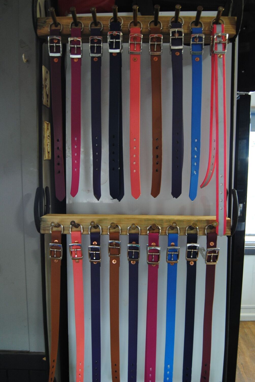 Dog Collar