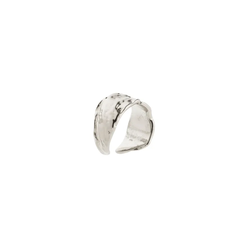 Pilgrim Earring 112536013 F25