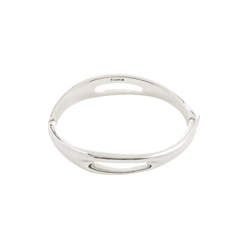Pilgrim Bangle 102536002 F25
