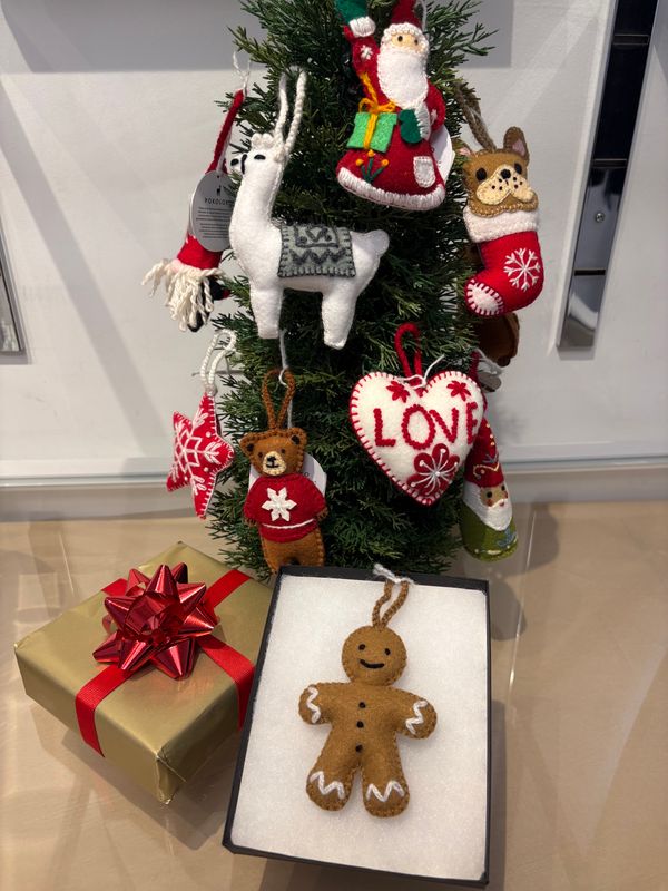 Pokoloko Christmas Ornament F25