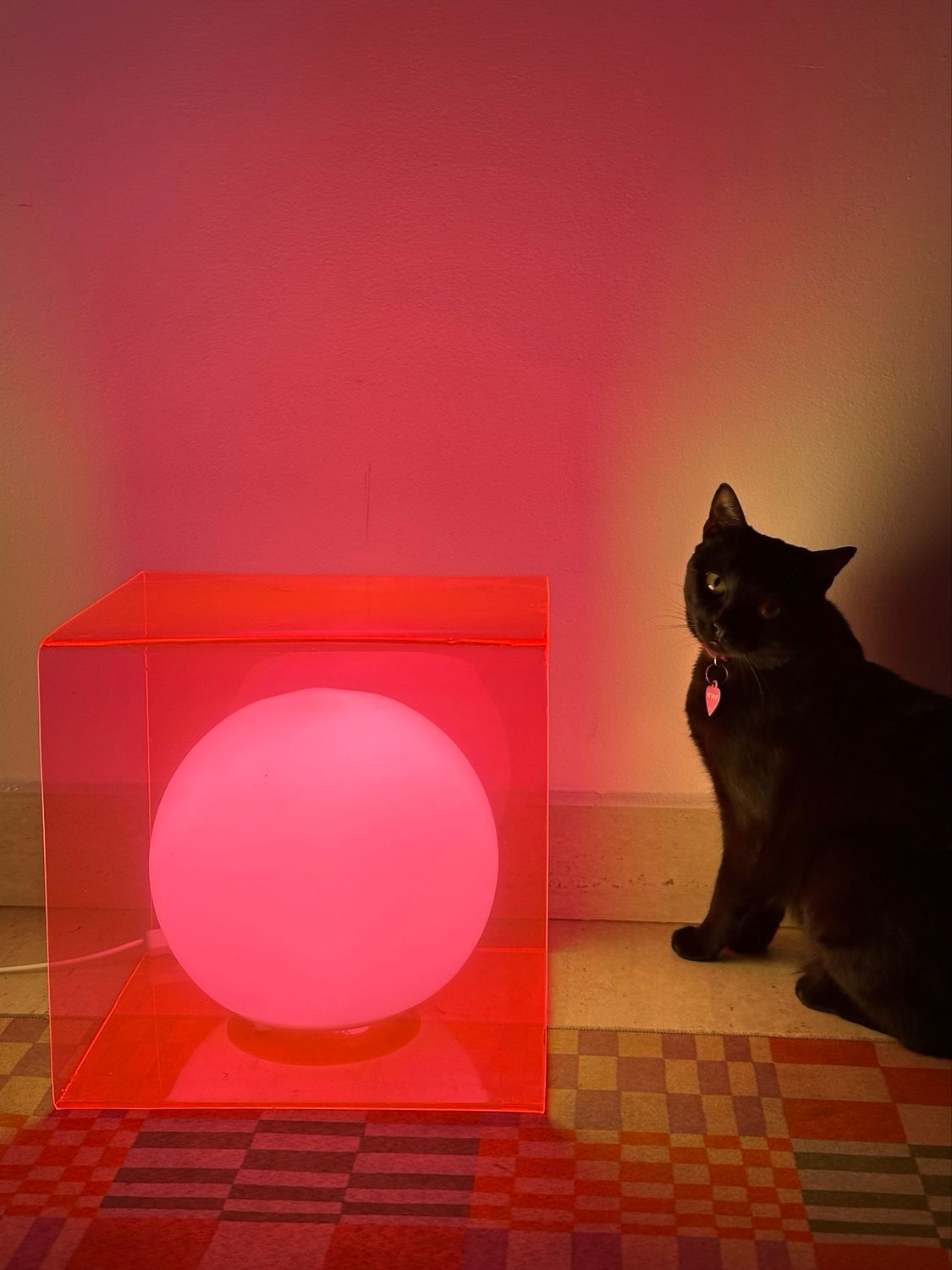 PREORDER - COLOR LAMP