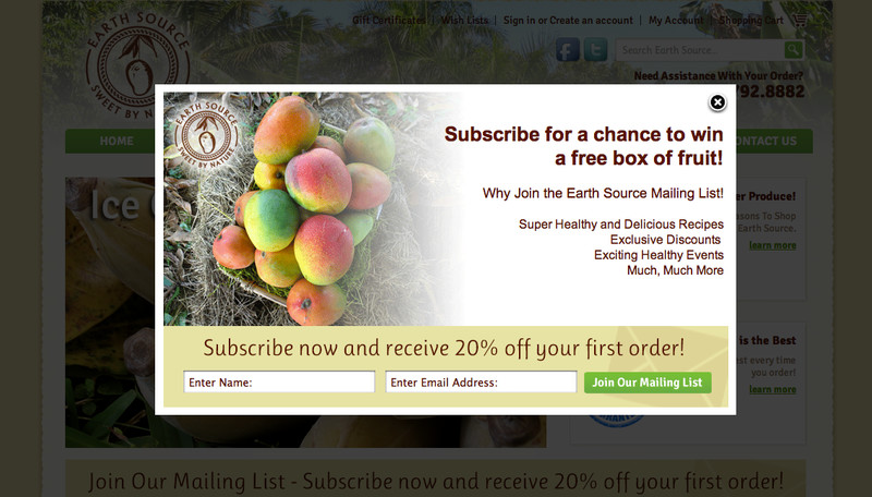 Pop-Up Newsletter Sign-Up