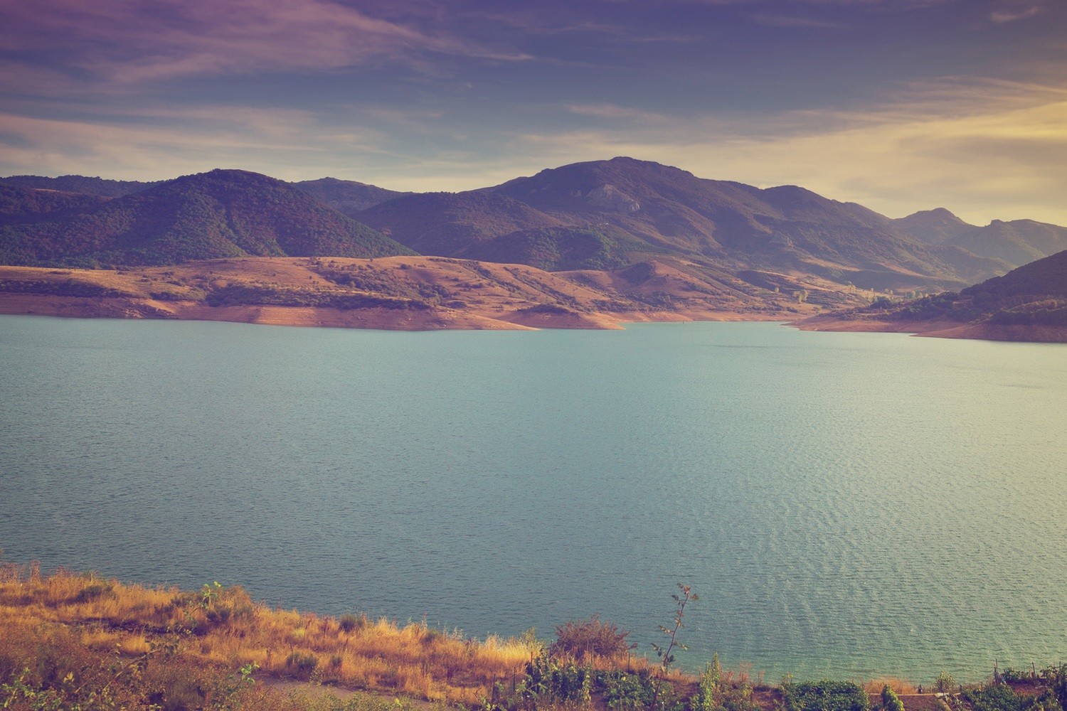 Colorado Registered Agent Services