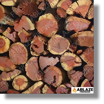 Namibian Kameeldoring (Camel Thorn) - Braaiwood ►