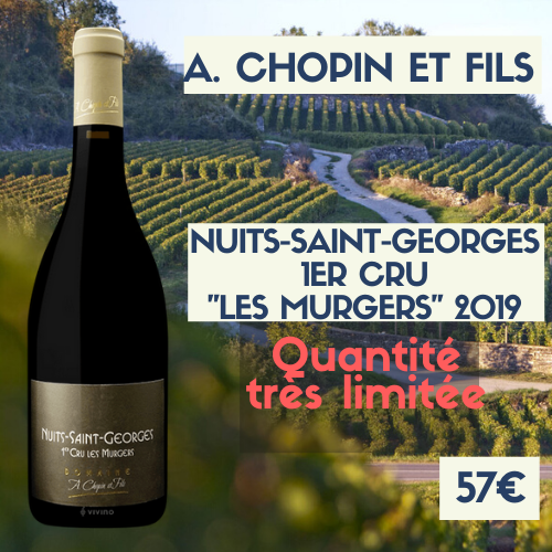 6 Bouteilles de Nuits-Saint-Georges premier cru "les Murgers" A. Chopin et fils 2019 (57€)