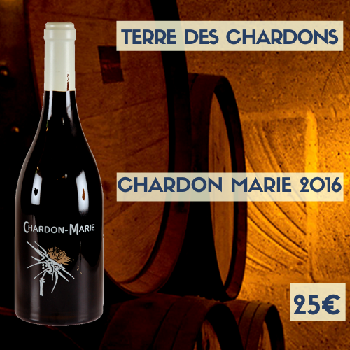6 bouteilles Terre des Chardons "Chardon - Marie" Costières de Nîmes 2016 (rouge) (25€)