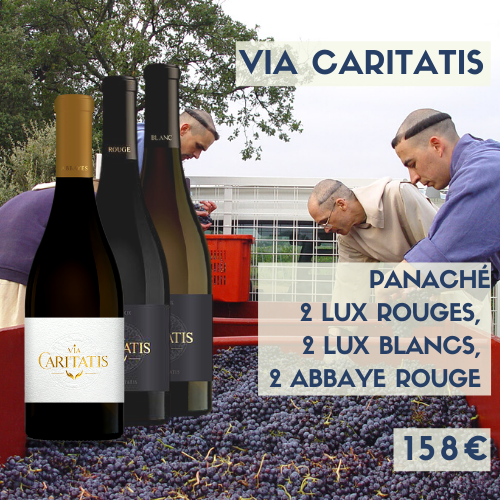 Panaché de Via Caritatis 2 bouteilles Lux rouges 2018 , 2 bouteilles Lux  blancs 2019 et 2 bouteilles Abbayes Syrah rouges 2020 (158€)