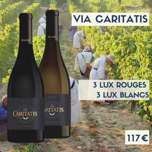 Panaché de Via Caritatis 3 bouteilles Lux rouges 2018 et 3 bouteilles Lux blancs 2019 (117€)