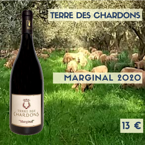 6 bouteilles Terre des Chardons "Marginal" Costières de Nîmes 2020 (rouge) (13€)