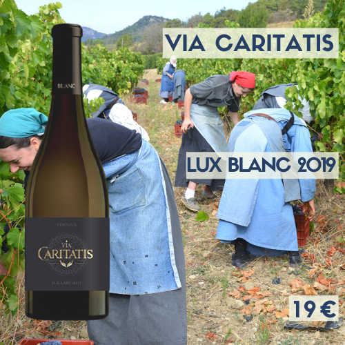 6 bouteilles Via Caritatis Lux Blanc 2019 Ventoux (19€)