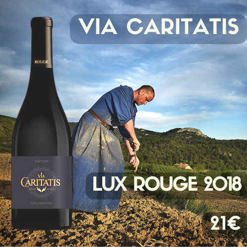 6 bouteilles Via Caritatis Lux Rouge 2018 Ventoux (21€)