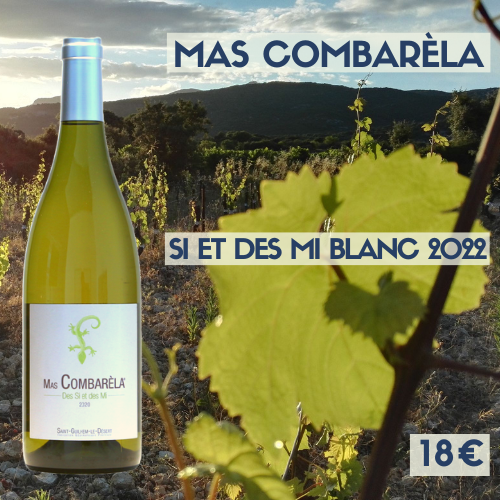 6 bouteilles Mas Combarèla - IGP Saint Guilhem le Désert des SI et des MI blanc 2022 (18€)