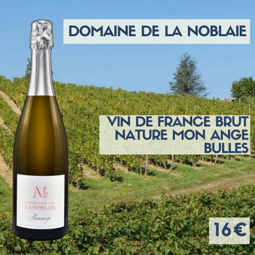 6 bouteilles Domaine de la Noblaie Bulle : Vin de France Mon Ange (16€)