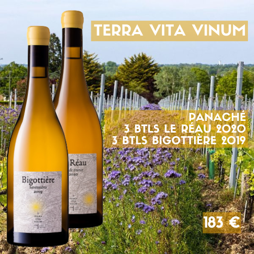 Panaché Terra Vita Vinum 3 bouteilles Vin de France Le Réau blanc 2020 et 3 bouteilles Savennières Bigottière blanc 2019 (183 €)