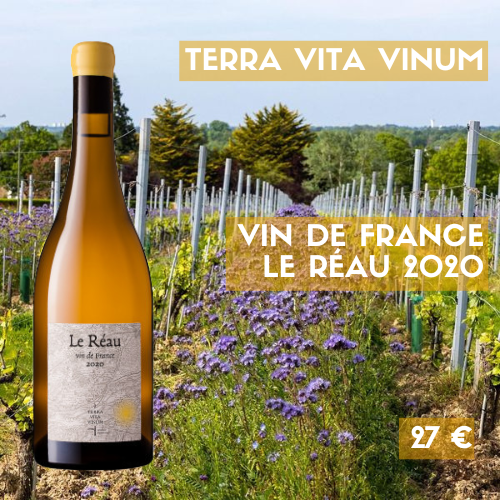 6 bouteilles Domaine Terra Vita Vinum Vin de France Le Réau blanc 2020 (27 €)
