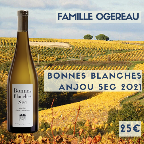 3 bouteille Famille Ogereau Anjou « bonnes blanches » 2021 (25€)