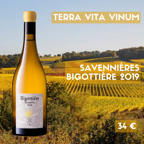 1 bouteille Domaine Terra Vita Vinum Savennières Bigottière blanc 2019 (34 €)