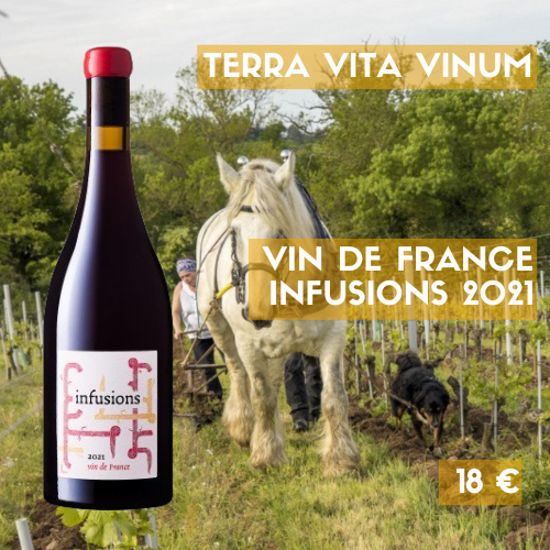 6 bouteilles Domaine Terra Vita VinumVin de France Infusions rouge 2021 (18 €)