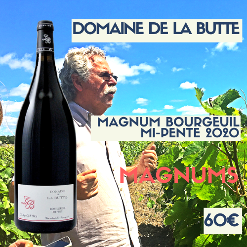 3 magnums Domaine de la Butte Bourgueil Mi-Pente 2020 (60€)